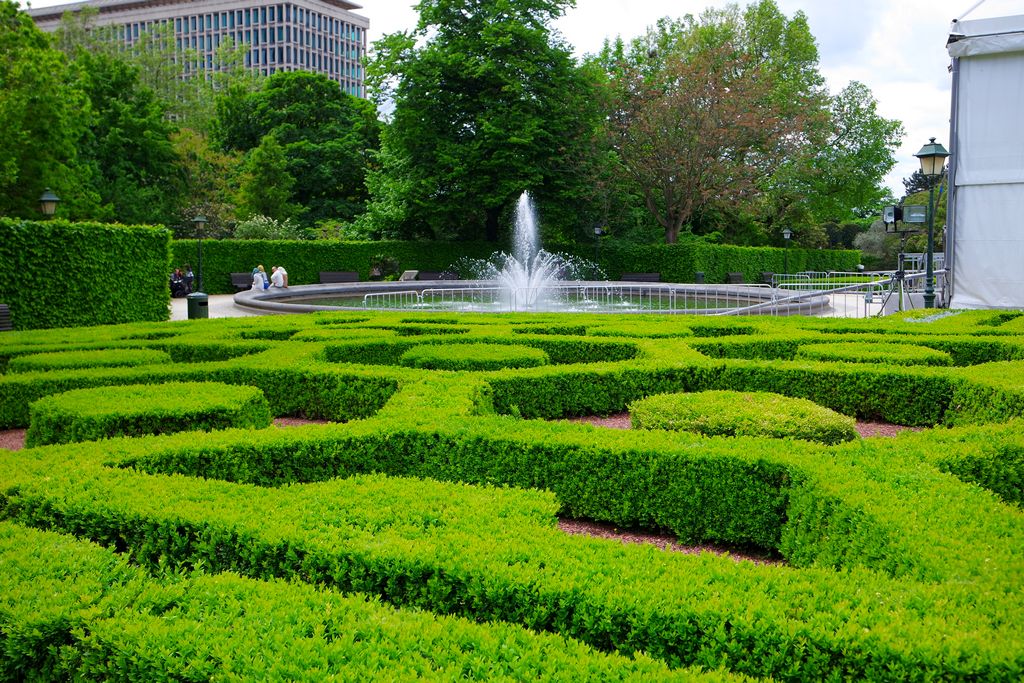 Ботанический сад в Брюсселе