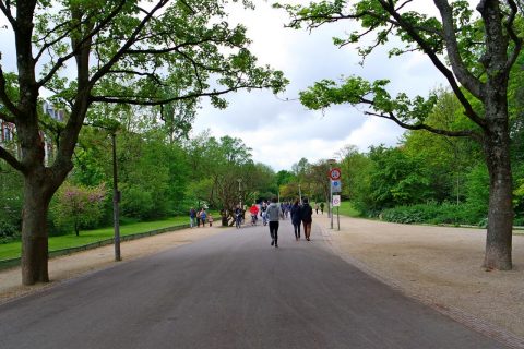 Пробежки в парке Вондела