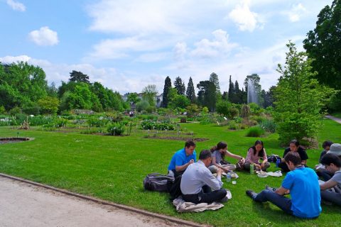 Ботанический сад в Бонне
