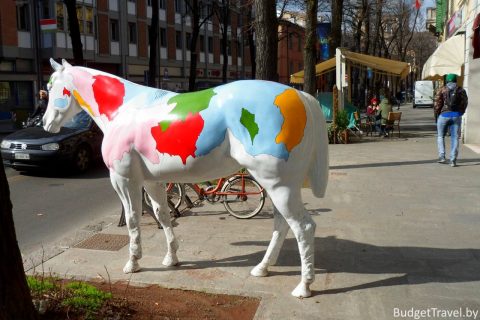 Лошадь на улицах Италии