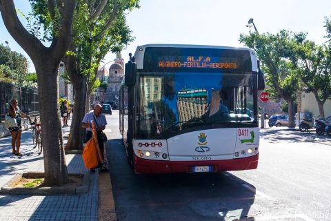 Автобус ALFA в аэропорт Альгеро