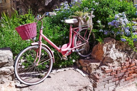 Город Альгеро - Розовые велосипеды