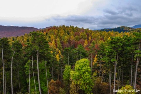Леса и горы в Румынии