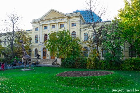 Национальный музей естественной истории - Бухарест