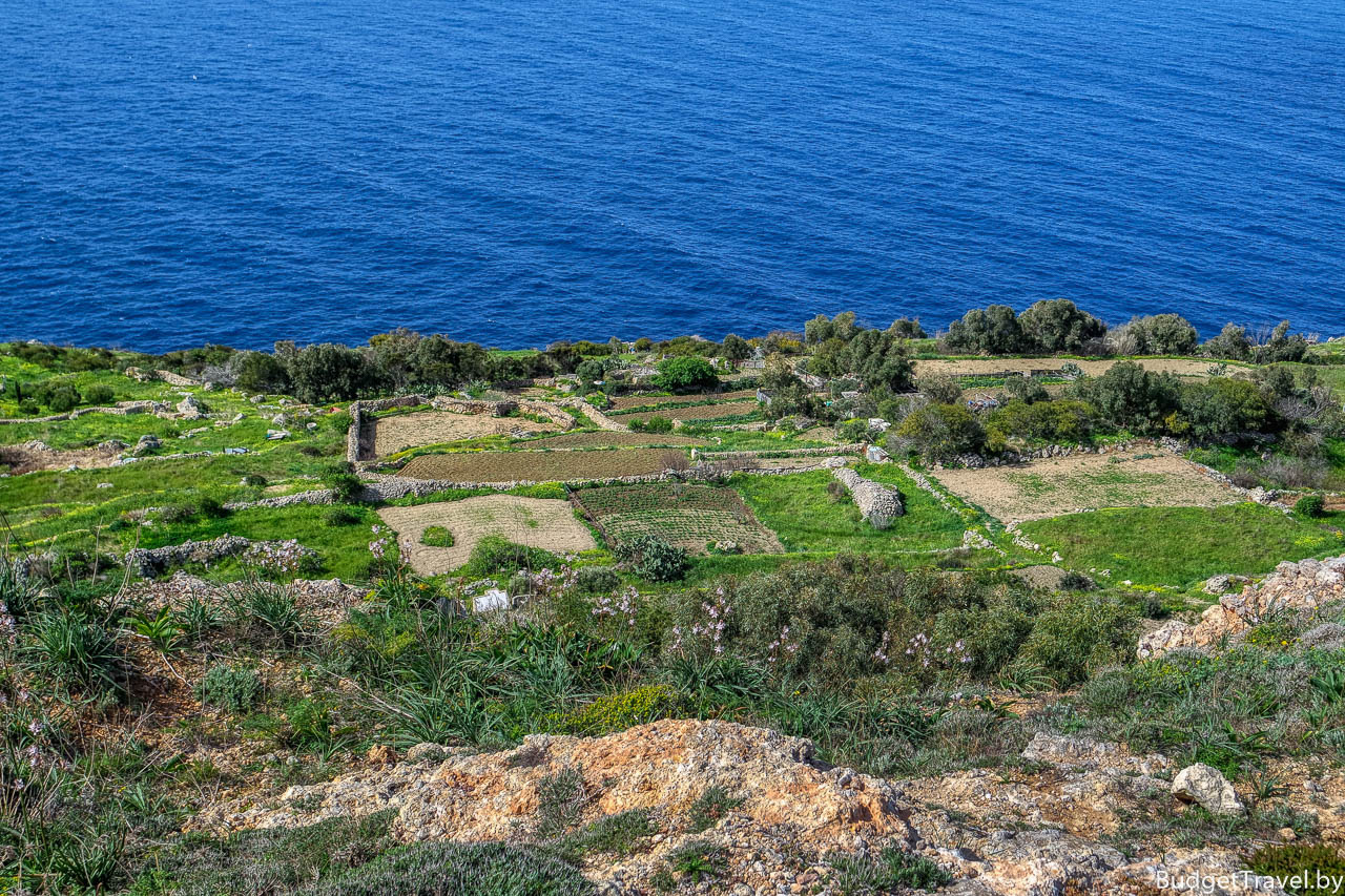Вид на огороды с утёсов Дингли, Мальта