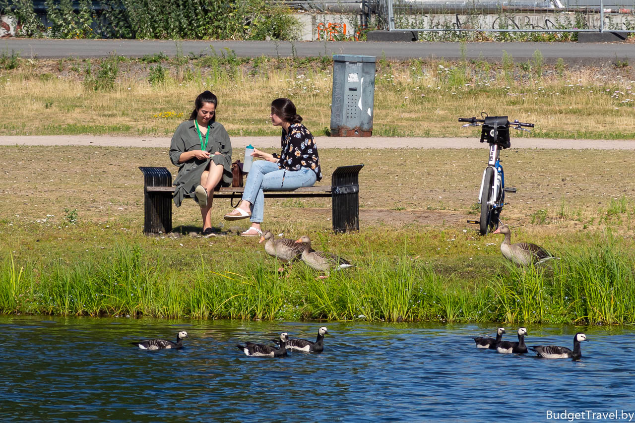 Девушки на лавочке возле реки в Осло