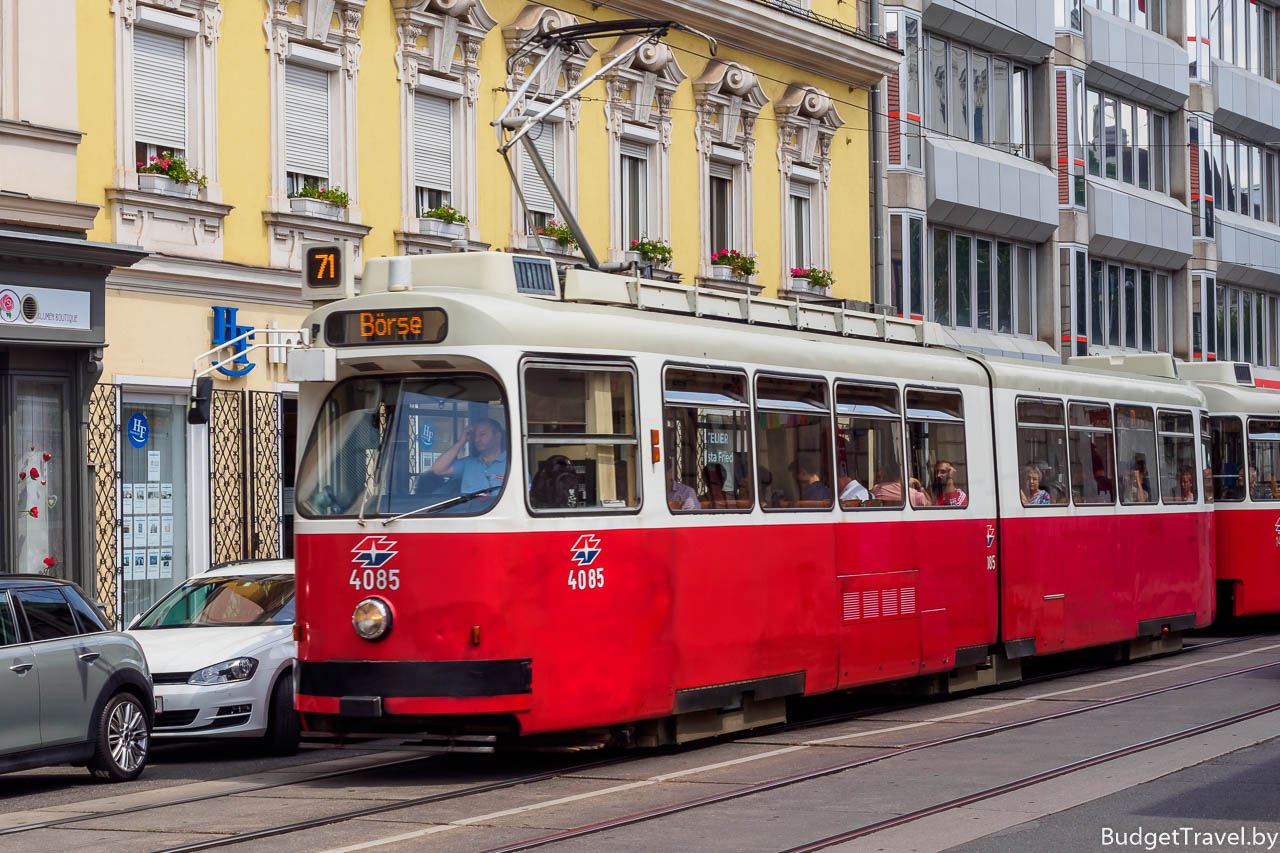 Трамвай 71 в Вене